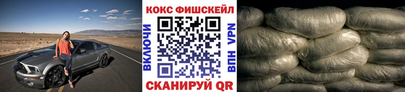 Купить закладки  Сафоново  Cocaine VHQ 
