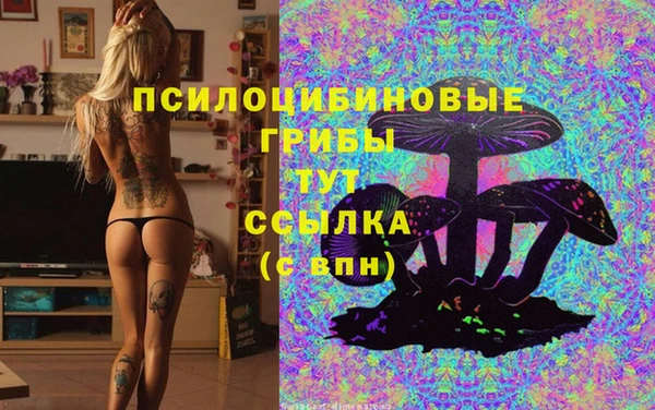 MDMA Верхний Тагил