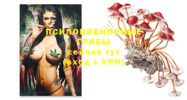 Альфа ПВП Верхнеуральск